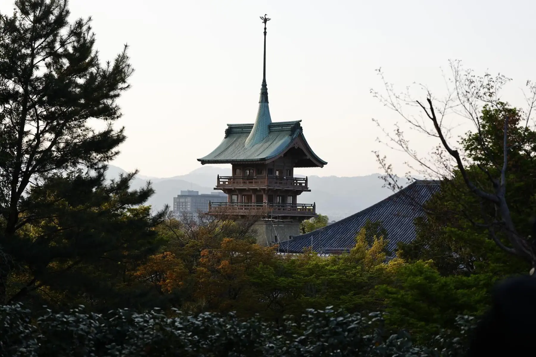 Former cricketer documents her travels with stunning visual diary