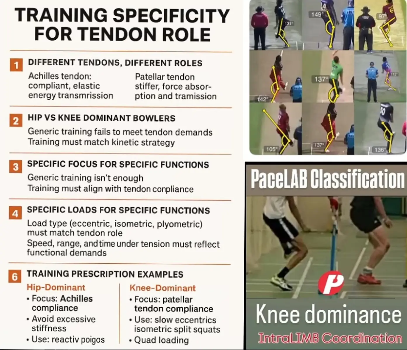 Cricket coach reveals how hip and knee-dominant bowling styles require opposite tendon adaptations