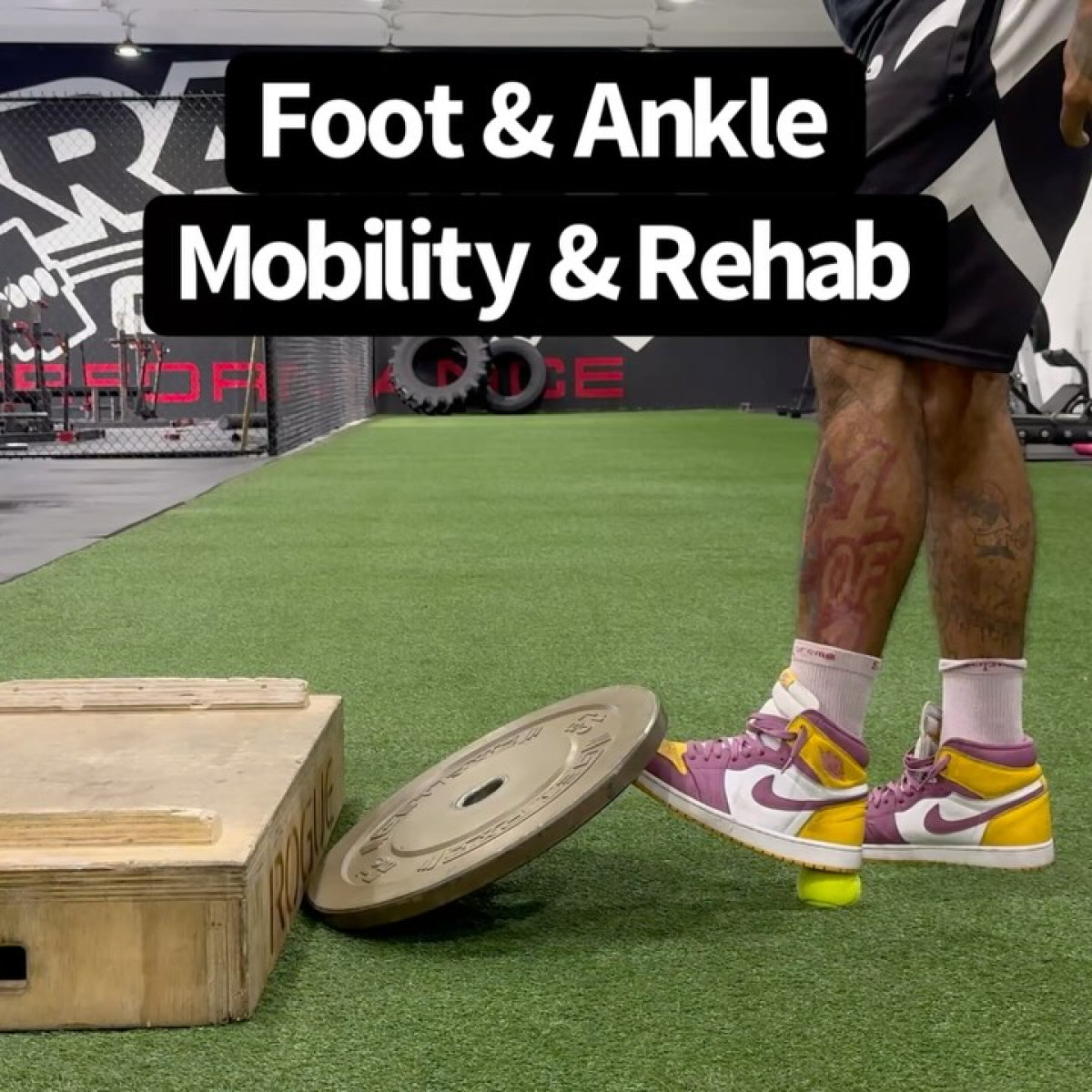 Learn 9-week online ankle rehab with 85+ video guides to boost mobility and reduce pain now.