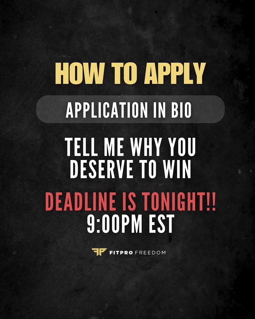 19-Year Online Anniversary Scholarship Launch
