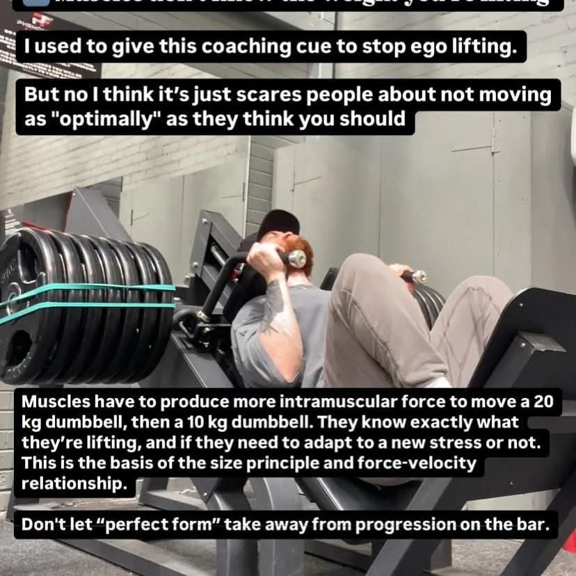 Bulk Up With Science: Josh Taylor’s Muscle Guide
