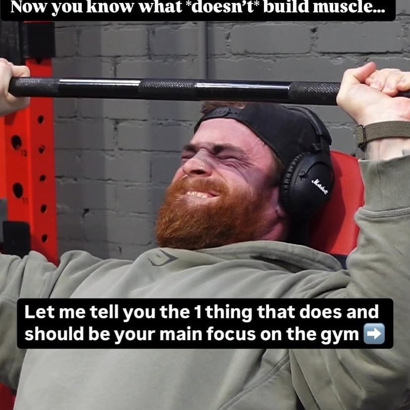 Bulk Up With Science: Josh Taylor’s Muscle Guide
