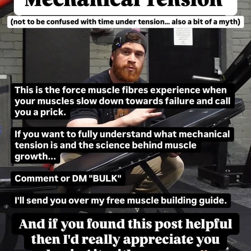 Bulk Up With Science: Josh Taylor’s Muscle Guide