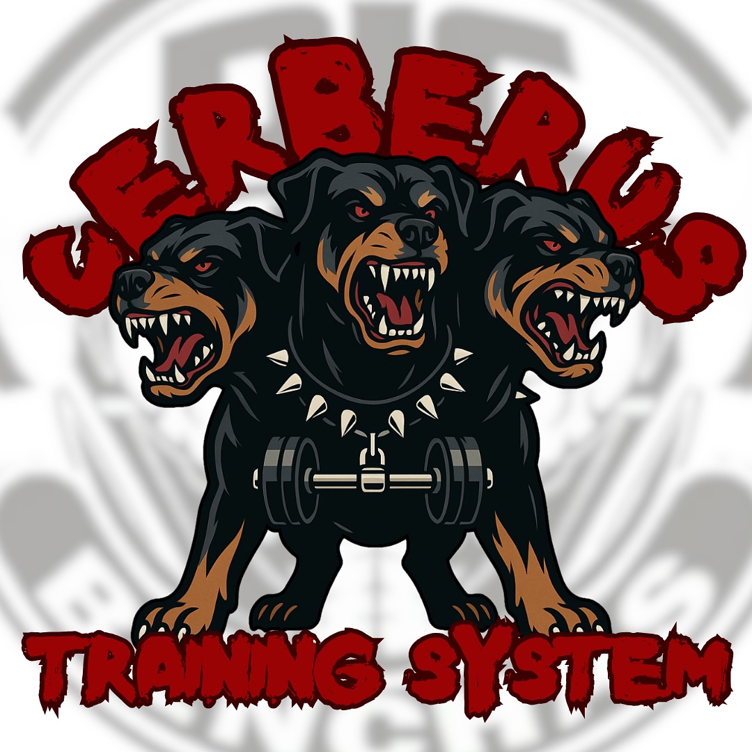 Cerberus Training System Week 2 Progress