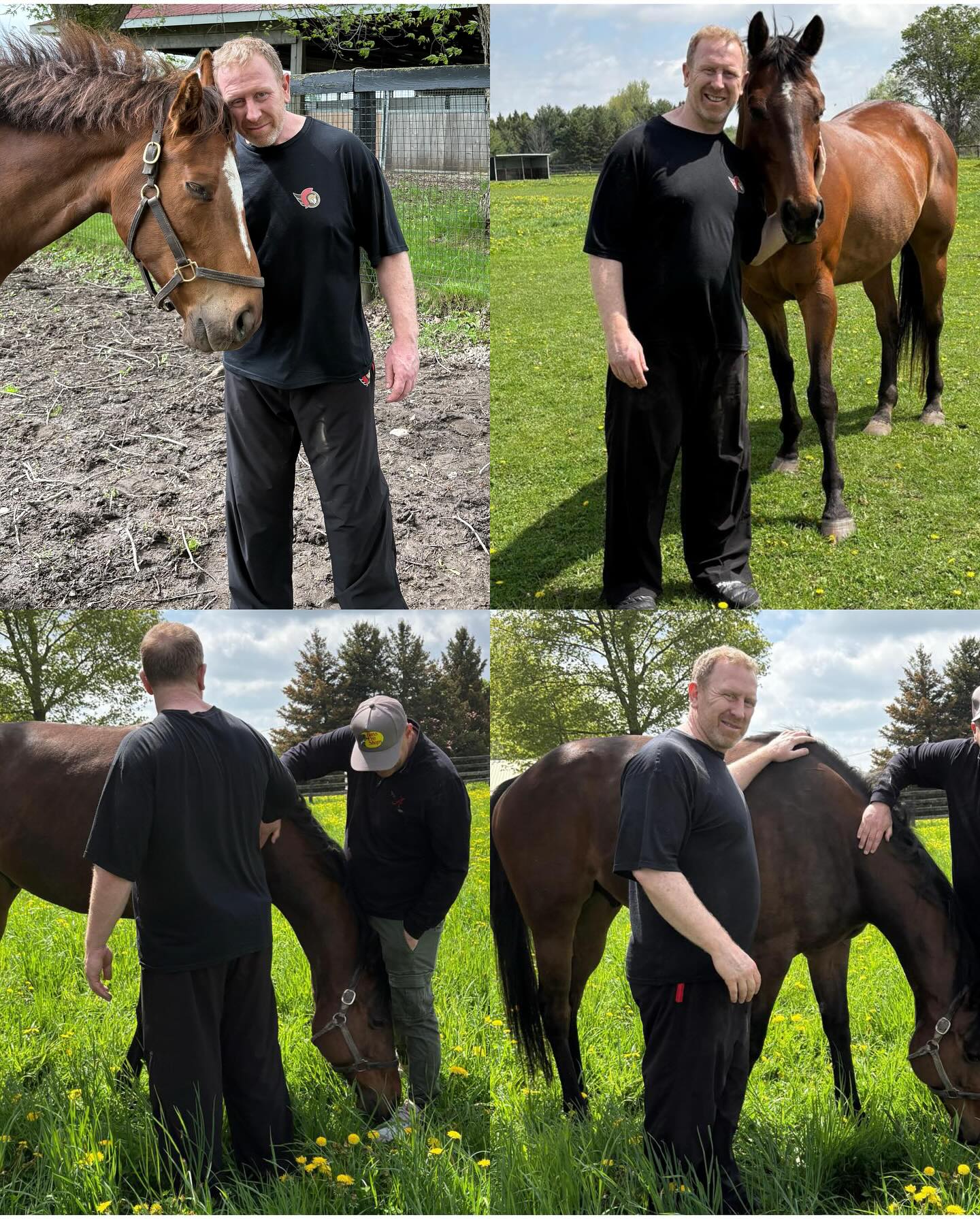 Champion Eurico Reinvents Life Through Equine Therapy