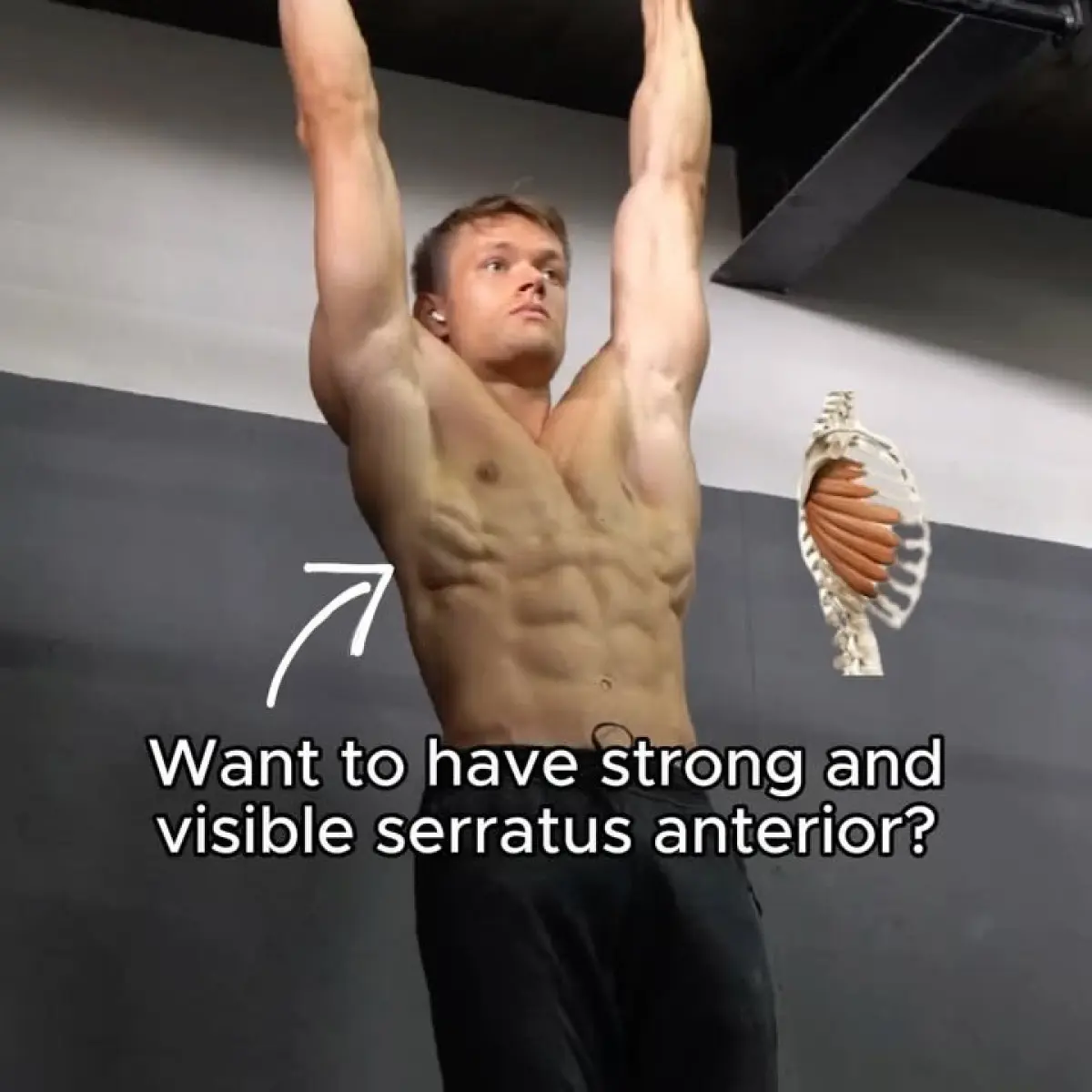 Chris Calisthenics Shares Six Must-Try Serratus Exercises Build strength and resilience with six serratus exercises to boost your calisthenics game.