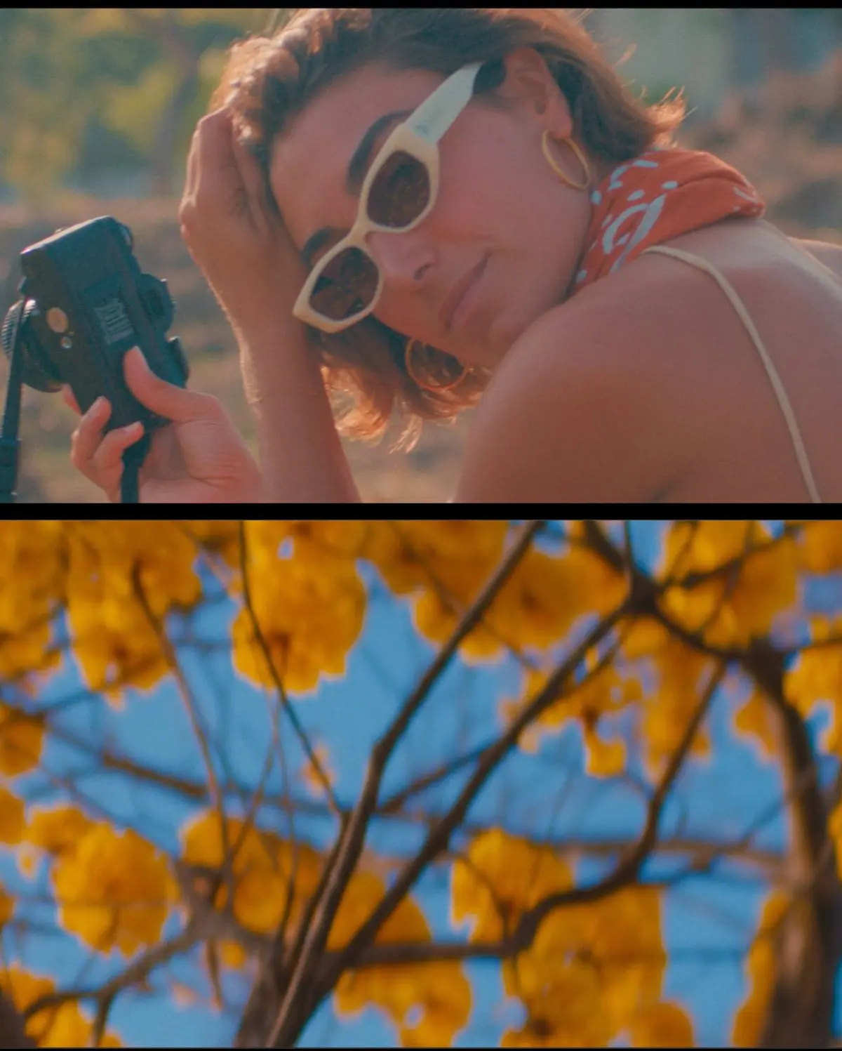 Cocodrilo Amarillo Sparks Creative Expression A vivid celebration of raw creativity and genuine moments captured in timeless visual art.