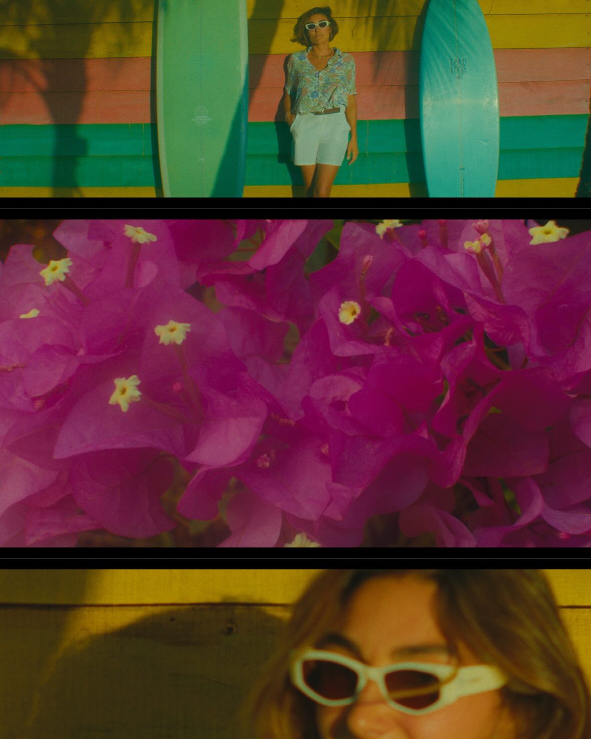 Cocodrilo Amarillo Sparks Creative Expression