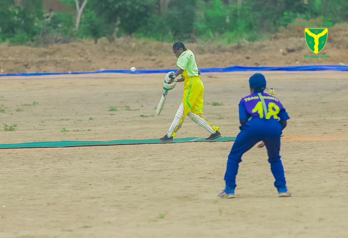 Ebonyi State Triumphs in T20 Cricket Showdown