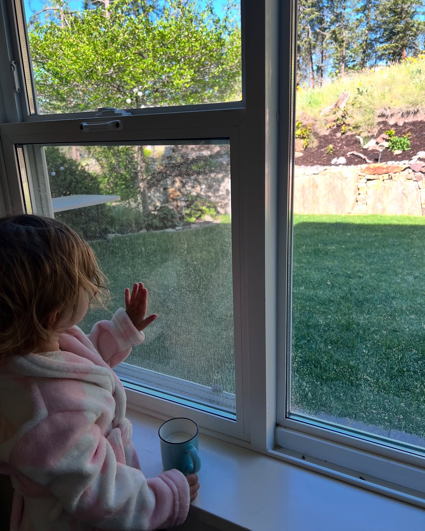 Embracing Stillness: A Coach's Path to Intentional Living