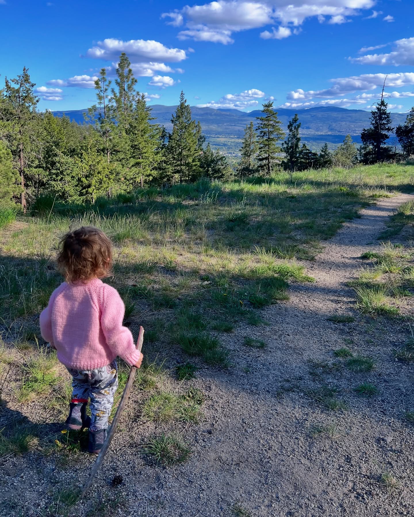 Embracing Stillness: A Coach's Path to Intentional Living
