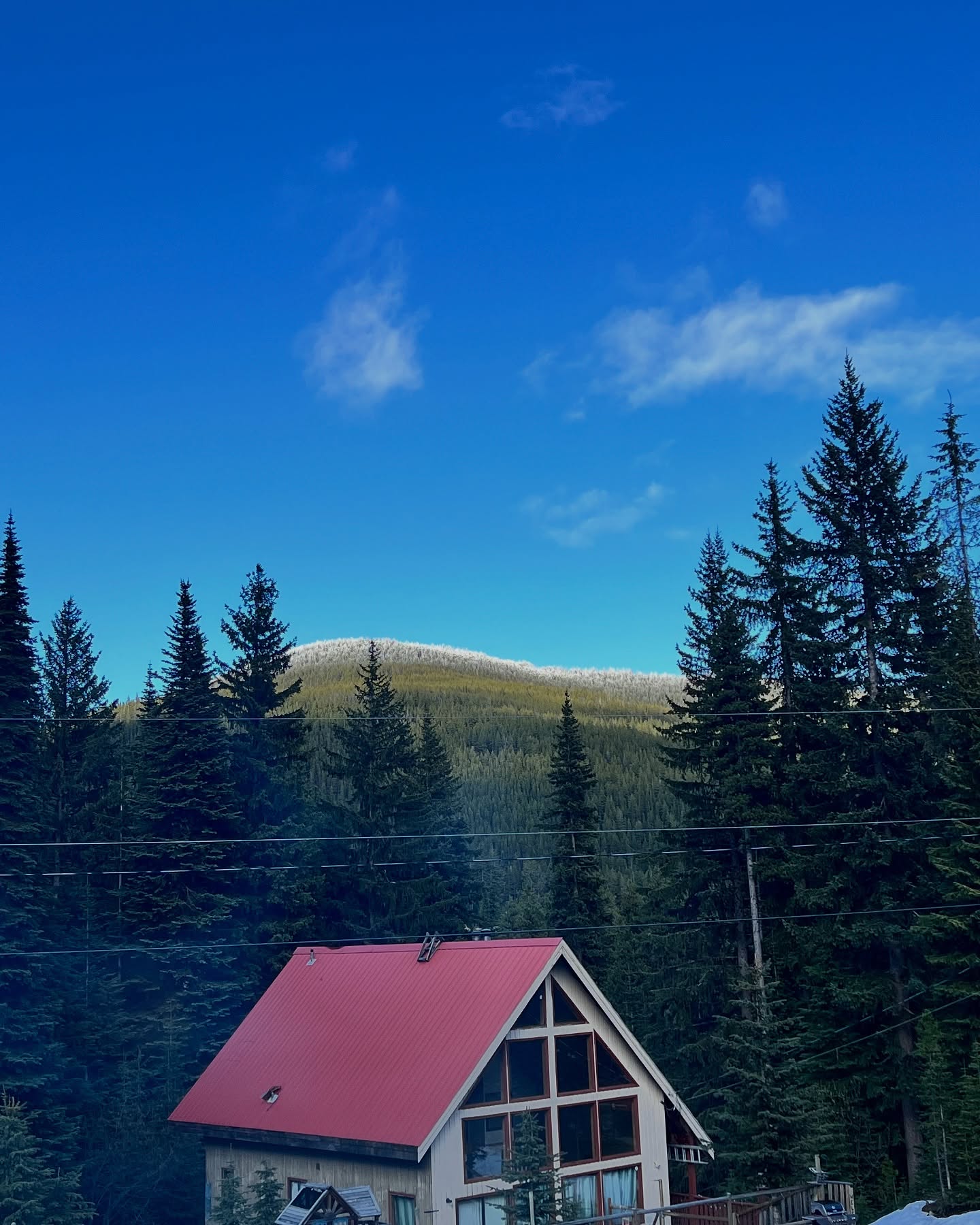 Embracing Stillness: A Coach's Path to Intentional Living