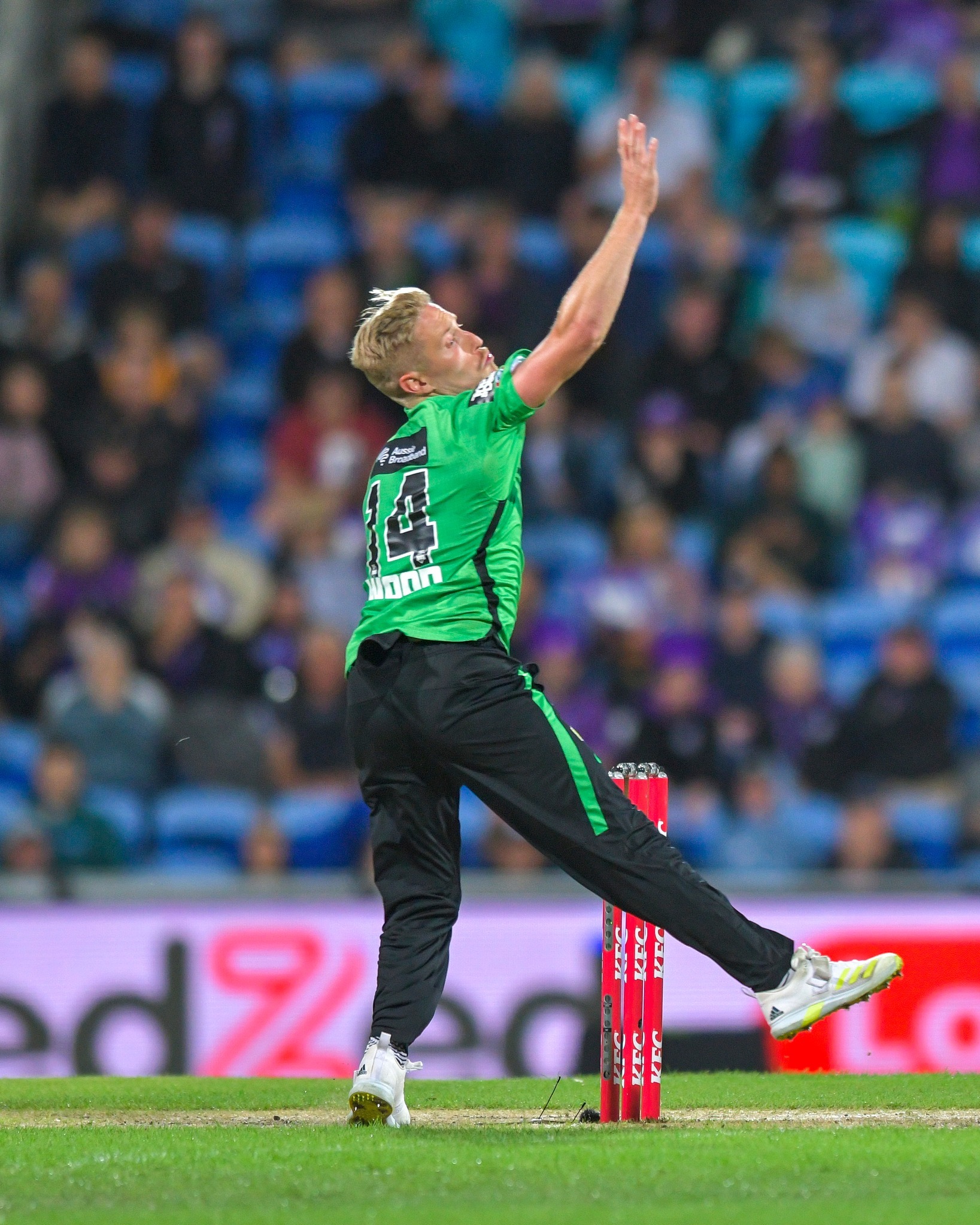 Familiar Faces Join Melbourne Stars Squad