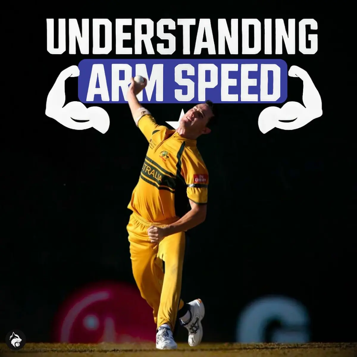 Fast Bowling Arm Speed: Unlocking Pitching Precision Master the science of fast bowling with tailored techniques to boost arm speed & precision!