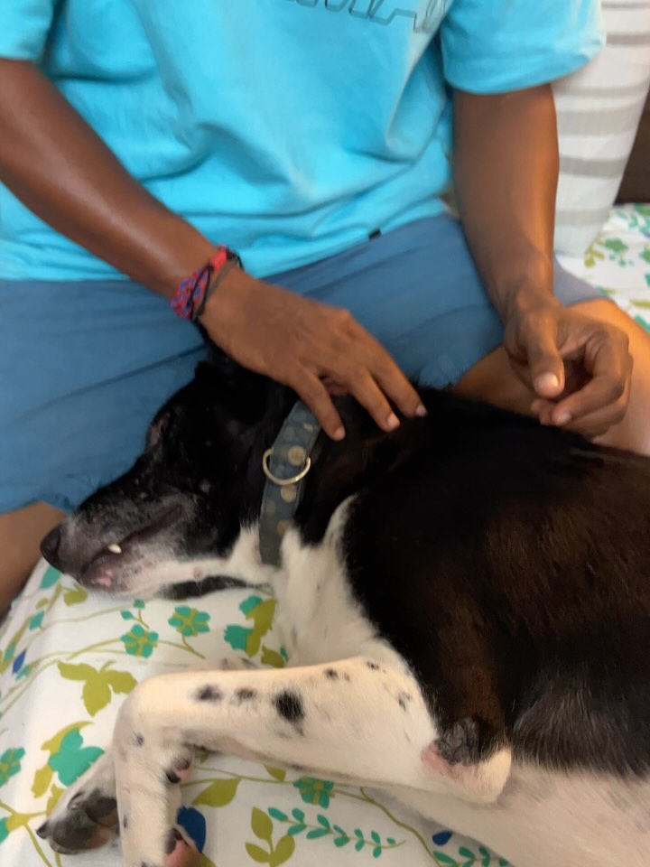 From Fear To Friendship With Chiku
