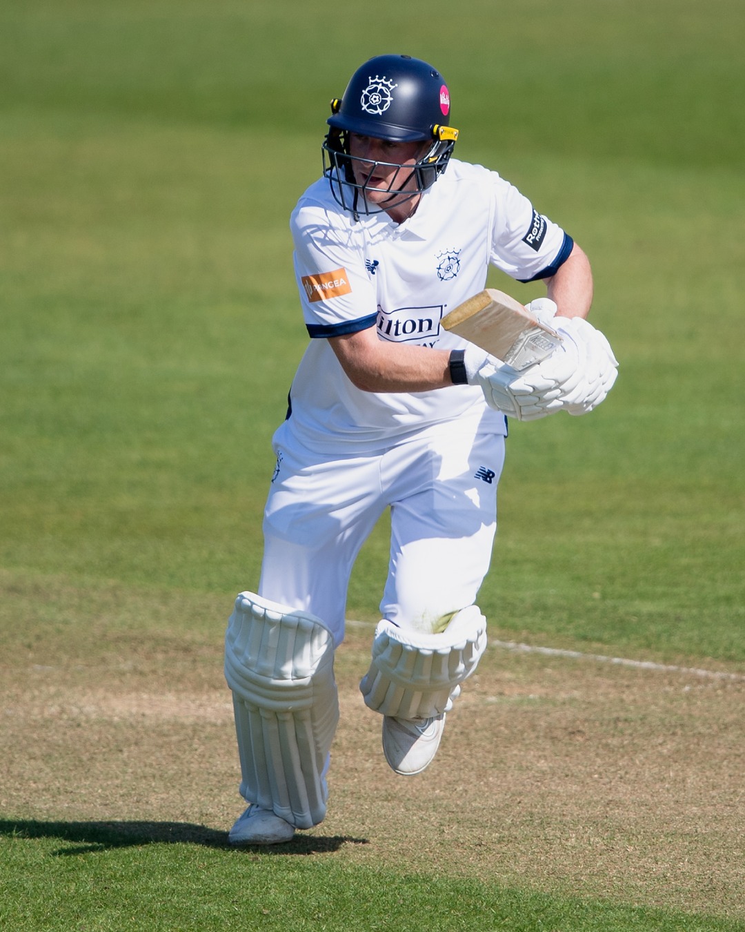 Hampshire Excel In Birmingham County Championship