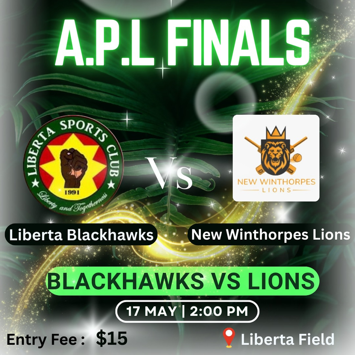 Hawks Final: Rallying Fans For A Mammoth Cricket Showdown Join the vibrant call as fans gear up with everything from horns to chairs for support!!!