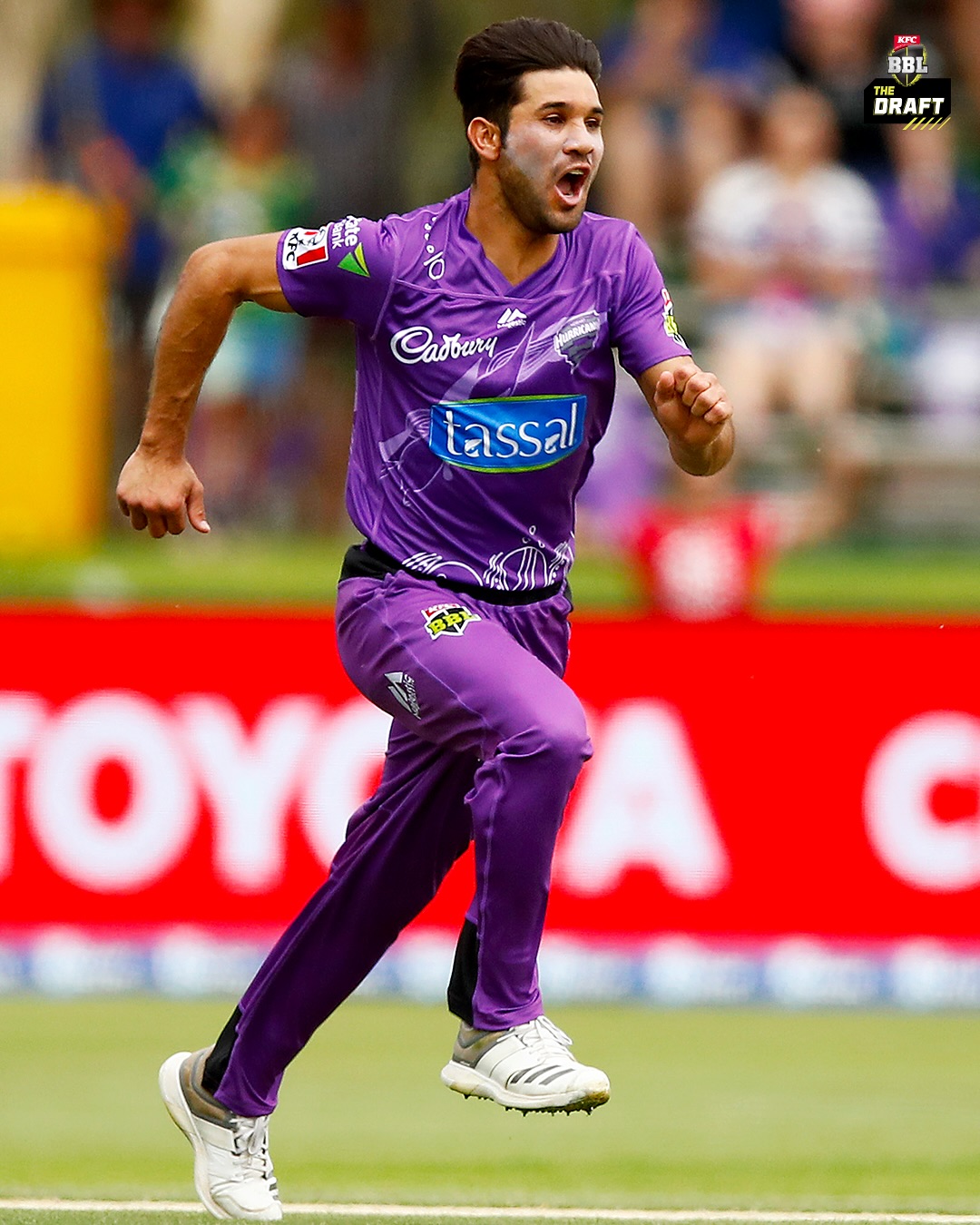 Hobart’s BBL Imports Showcase International Brilliance