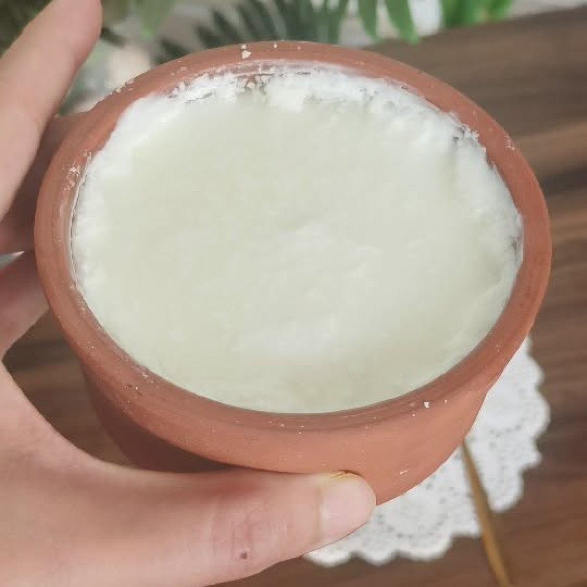 Homemade Dahi: Nature’s Probiotic Power Discover how unprocessed curd serves as a natural, effective probiotic in food therapy.!!!