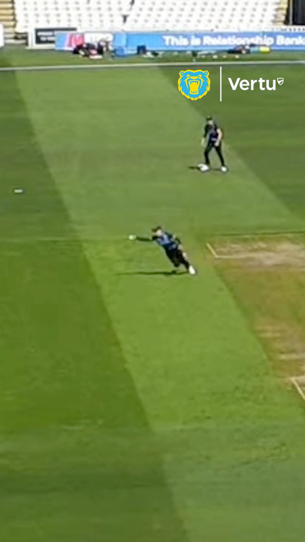 Issy Wong’s Spectacular Catch Boosts Bears Women Cricket star Issy Wong dazzles with a remarkable catch for Bears Women in thrilling play!