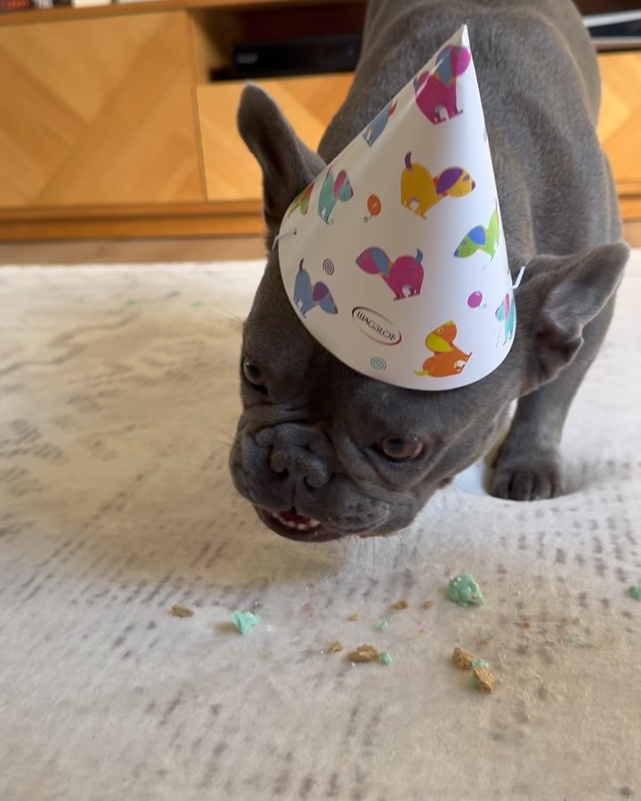 Jess Jonassen Celebrates Her Little Gremlin's Third Birthday