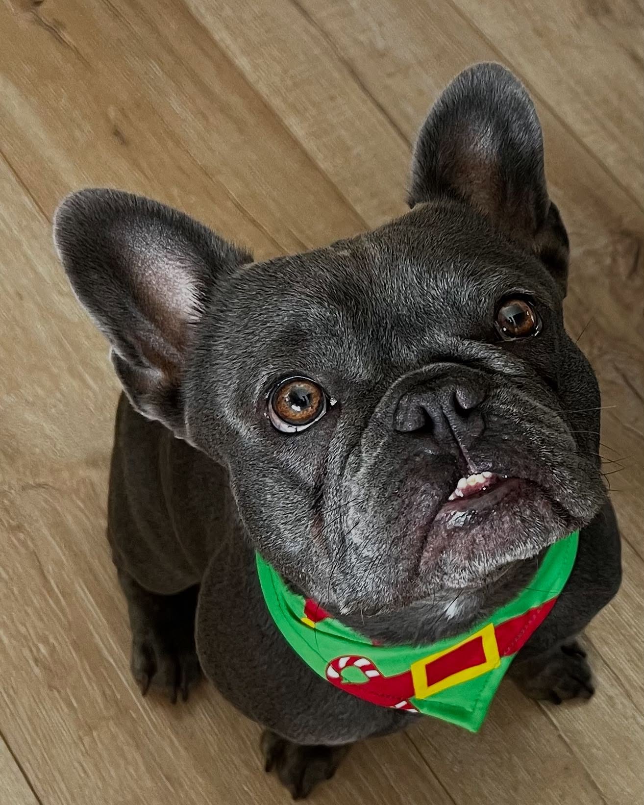 Jess Jonassen Celebrates Her Little Gremlin's Third Birthday