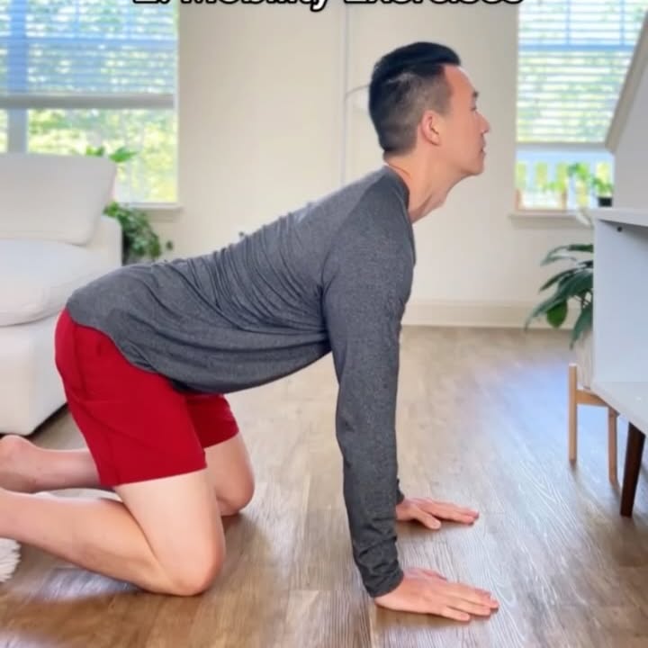 Massage Ball Giveaway & Low Back Pain Tips