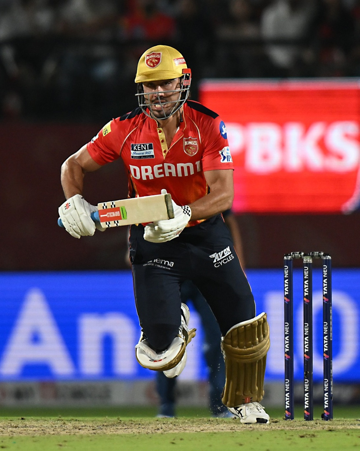 Exciting weekend update as the Melbourne Stars return their dynamic cricket flair on field.