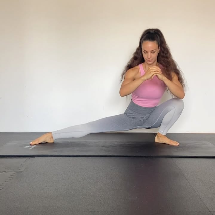 Middle Split Flexibility Program Sale