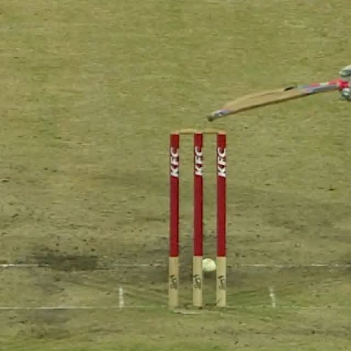 Mitch Starc’s Stump-B-Gone Blooper Iconic BBL mishap keeps fans in humorous disbelief after a stunning miss on the stumps!!!