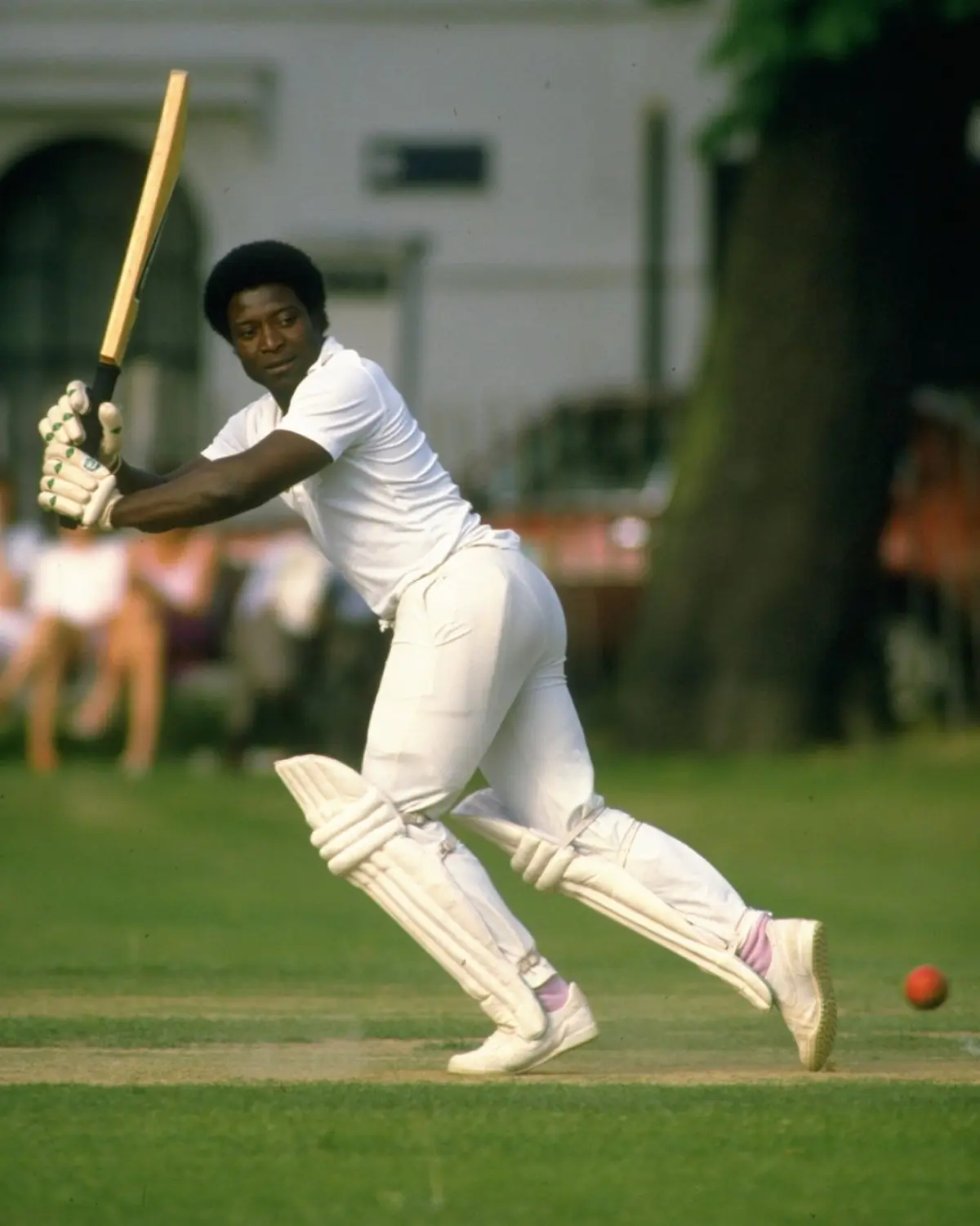 Surrey Cricket fans celebrate veteran Monte Lynch's birthday with heartfelt wishes today!.