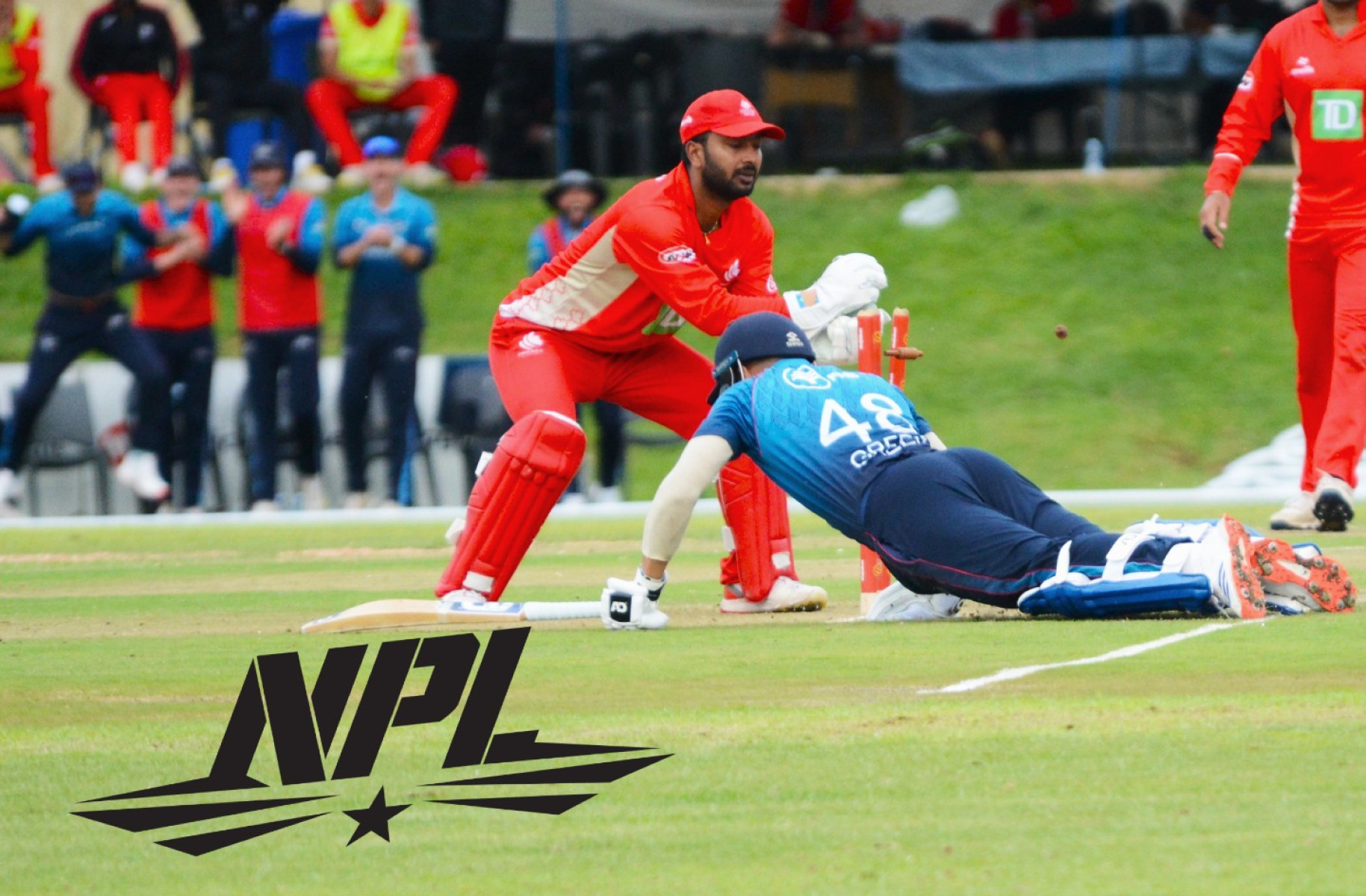 Namibian Batter Safely Reaches Crease Amid Roaring Cheers Electrifying moment in Namibia cricket as batter safely reaches crease amid loud cheers.