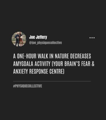 New research reveals that a simple nature stroll can significantly cool stress responses.!!