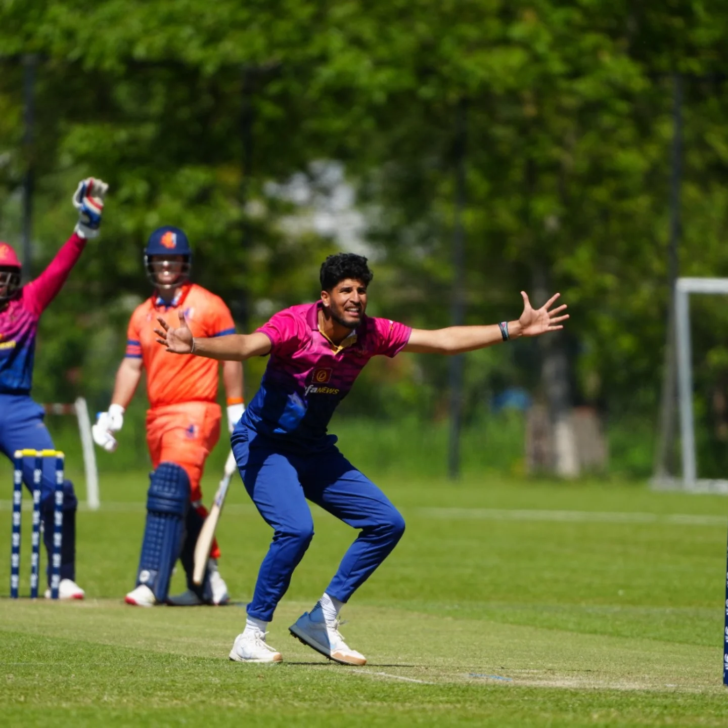 Netherlands Clinches Narrow Victory Over UAE