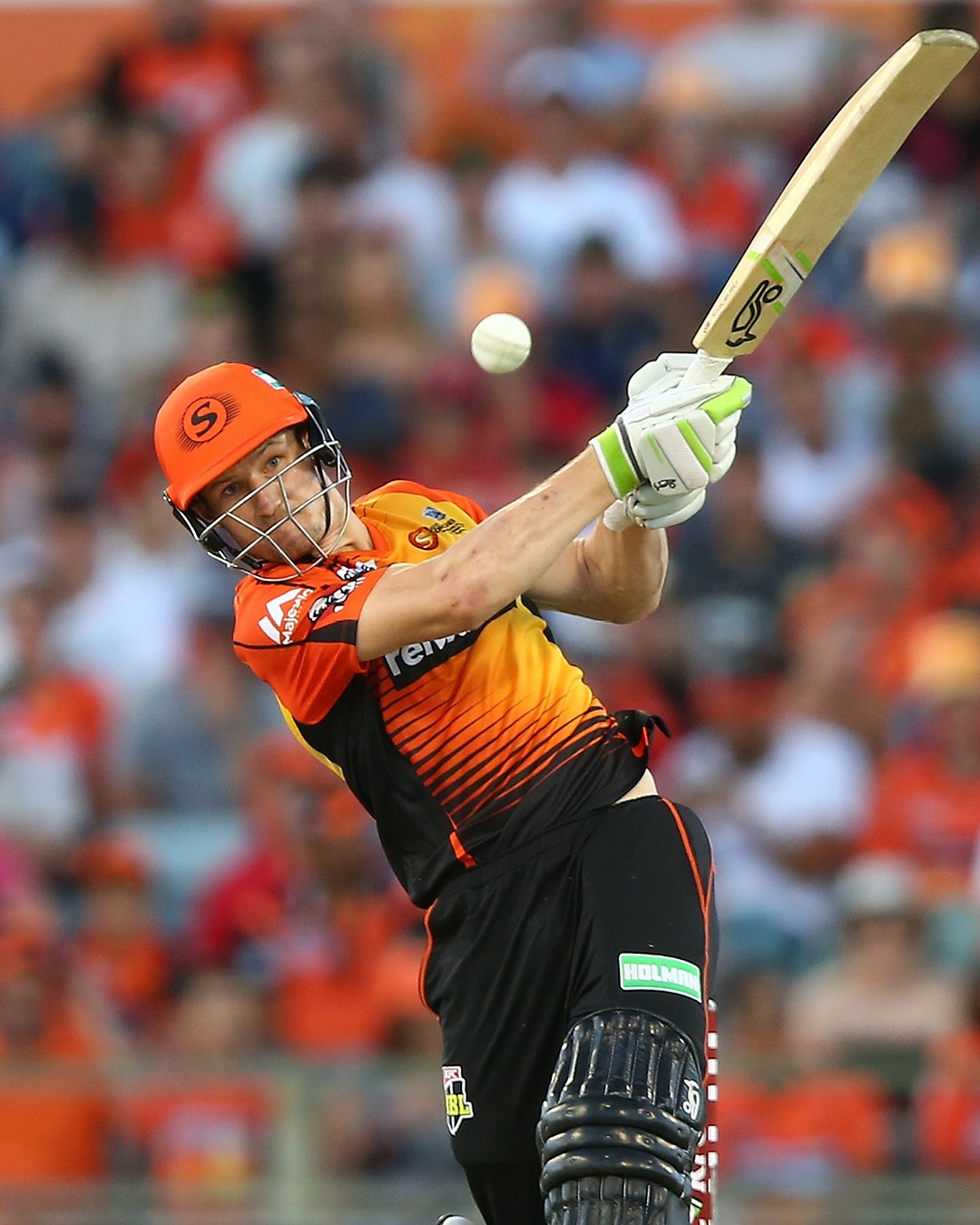 Perth Scorchers Captivate Fans With Vibrant Update