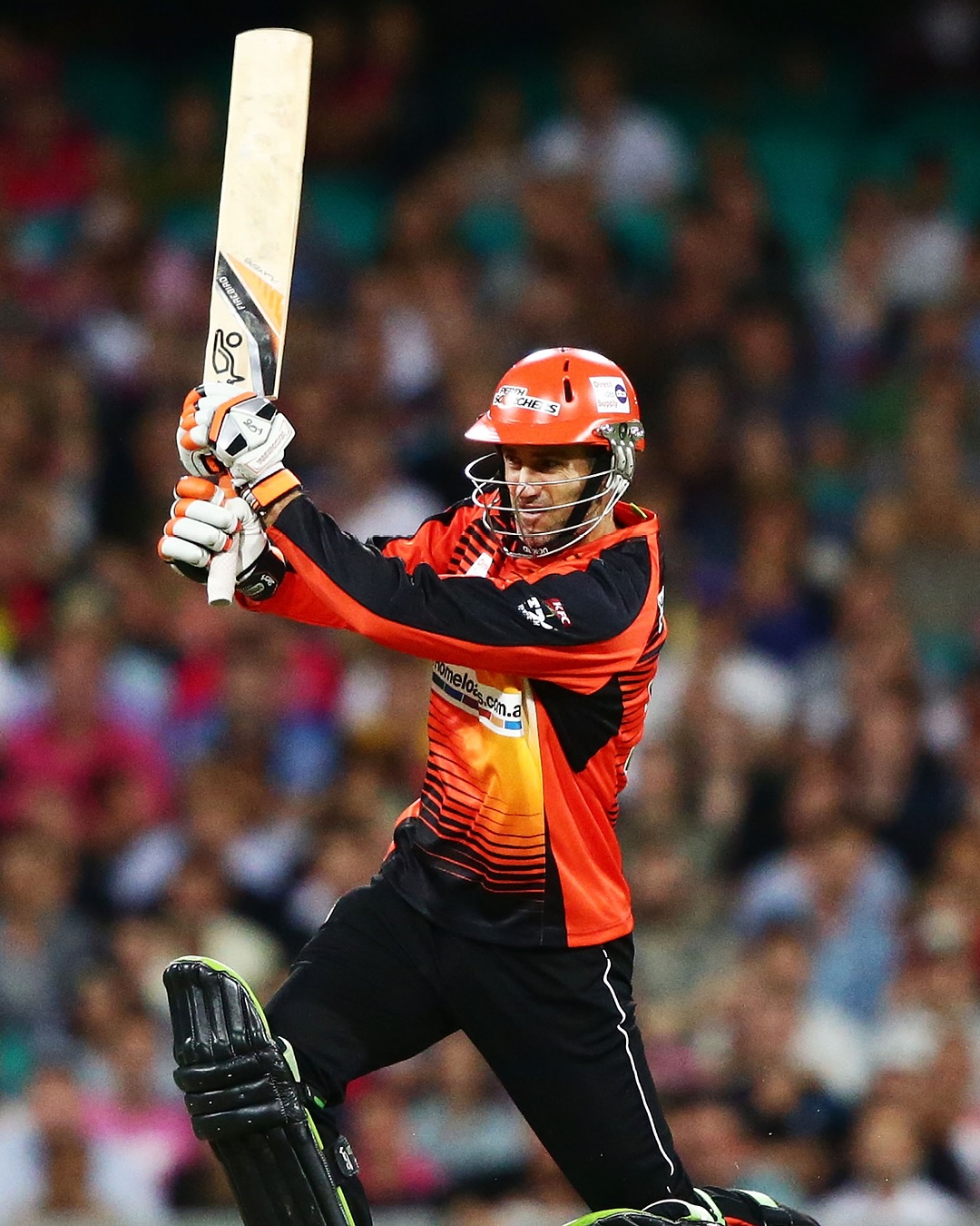Perth Scorchers Captivate Fans With Vibrant Update
