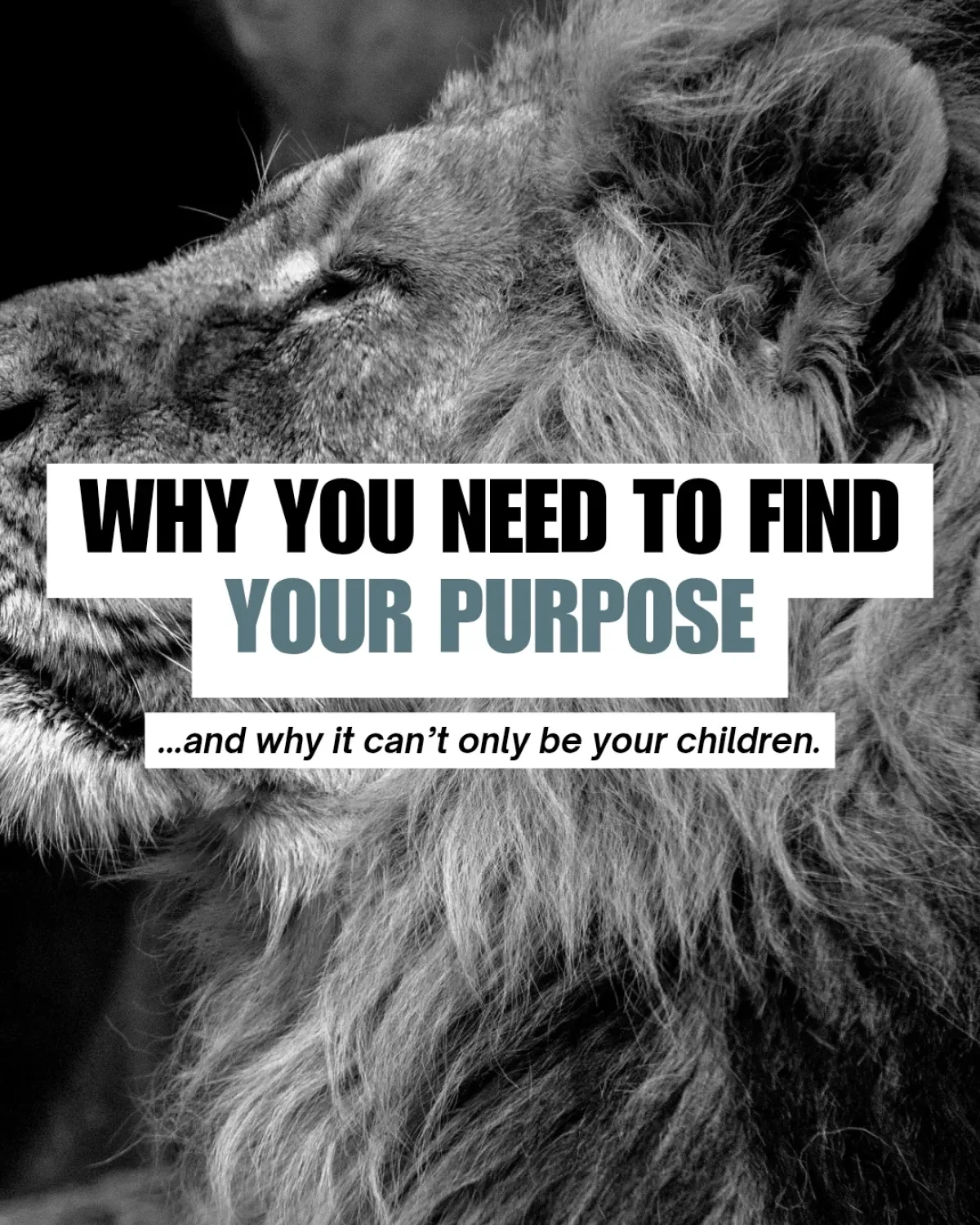 Purpose Sparks A Quantum Leap Embrace the journey of purpose: uncover truth, build joy, and align your life with passion.