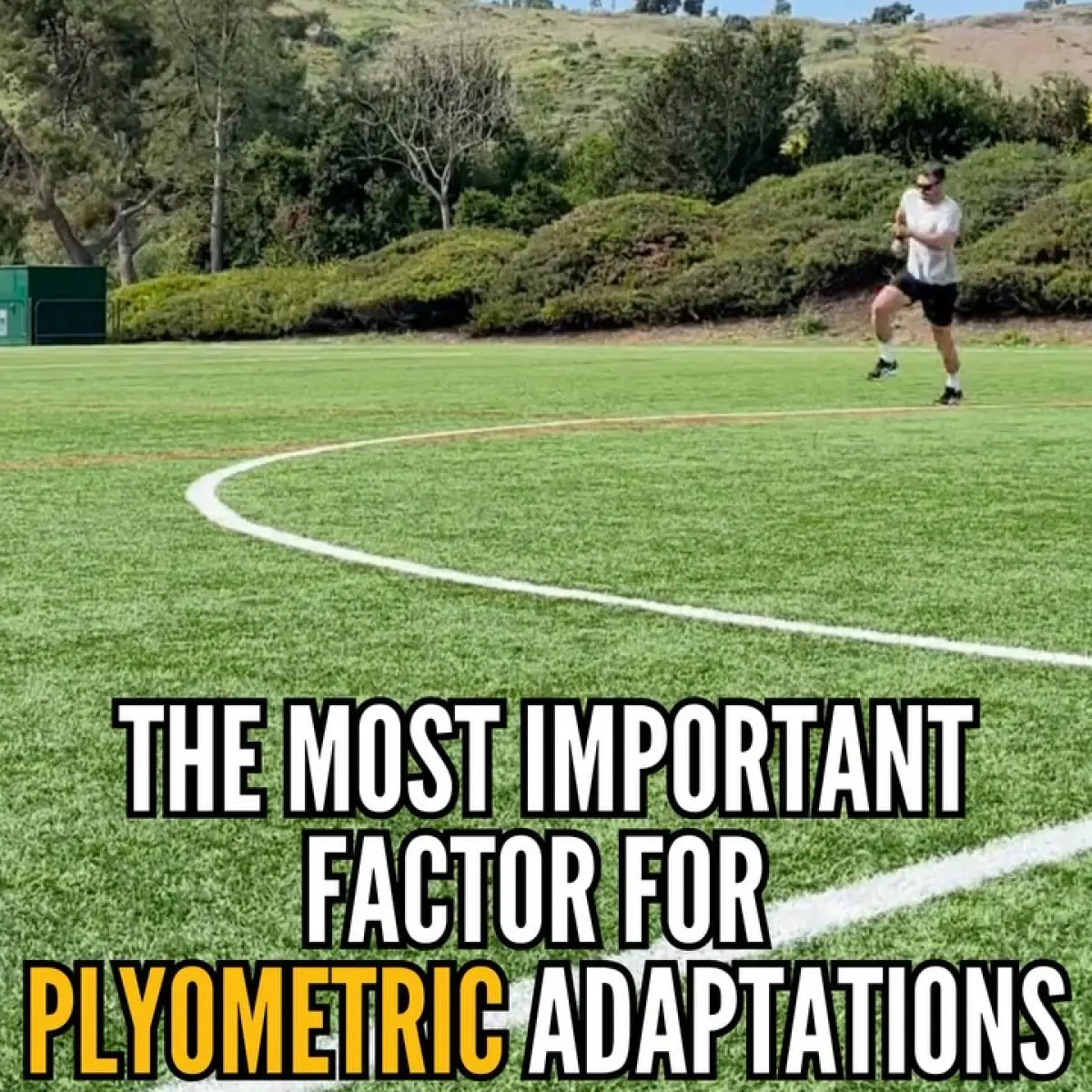 Quality Plyometrics Outperform Short-Term Regimens Insights from The Plyo Guy on the value of consistent, quality plyometric training over time