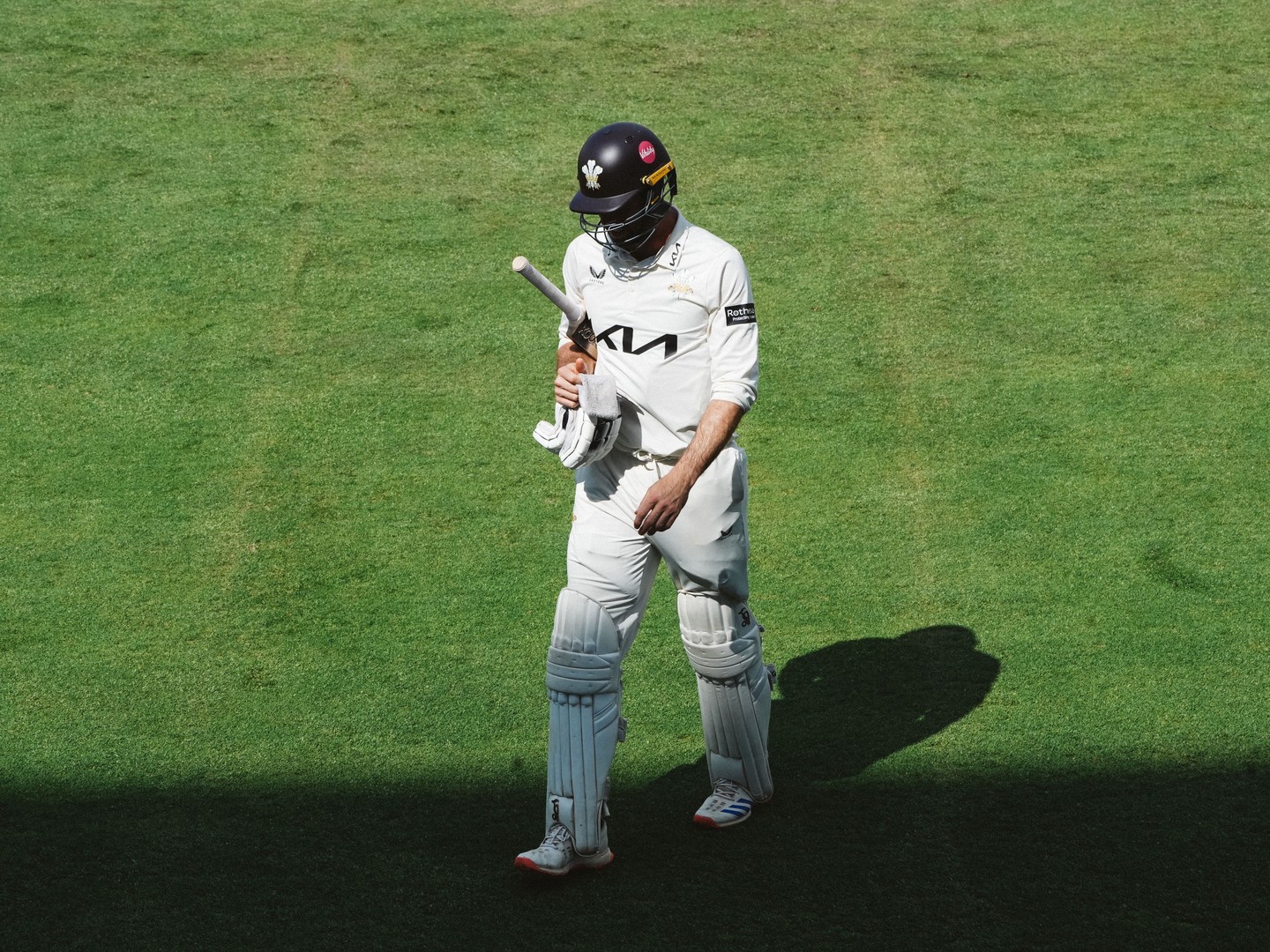 Record Partnership Secures Surrey Draw
