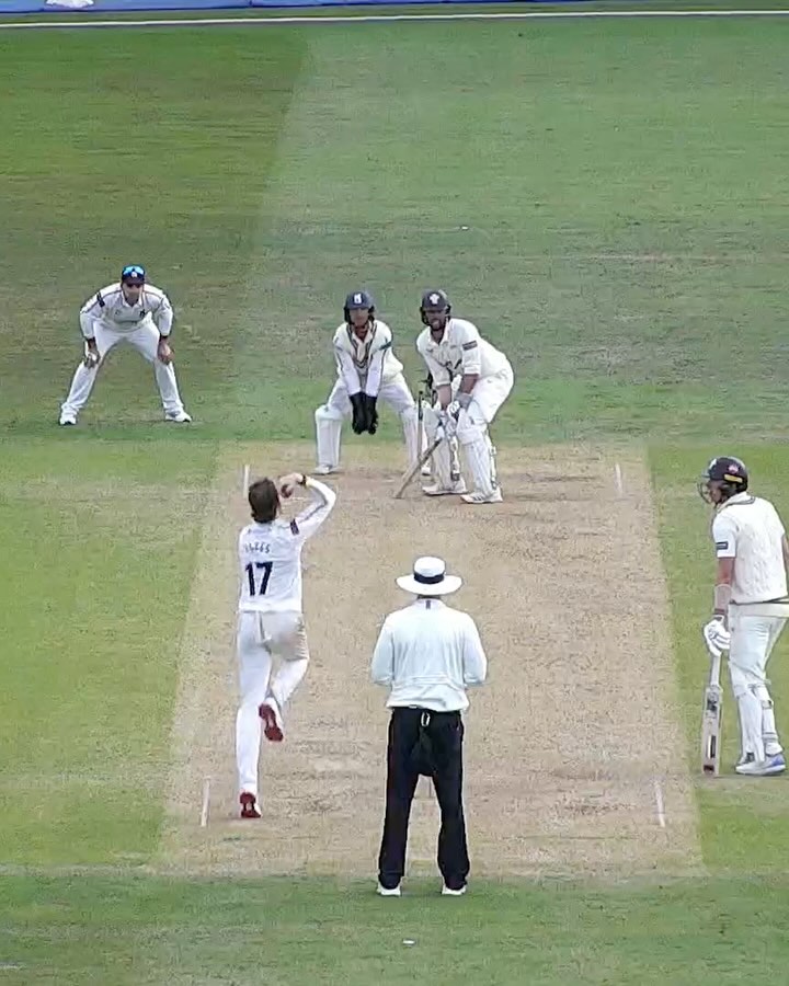 Record Stand For Surrey