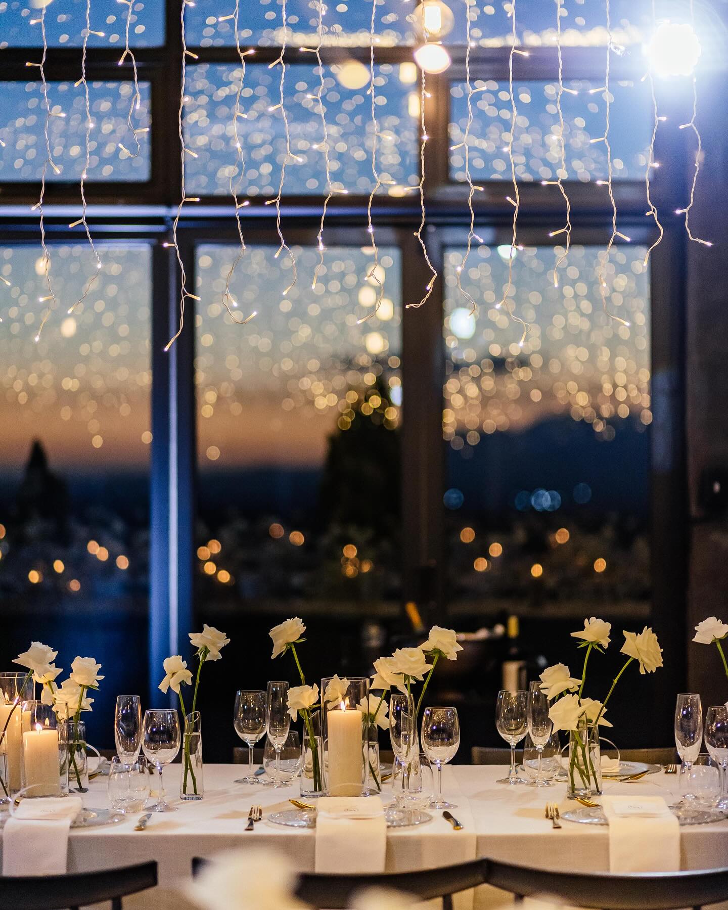 Reeza Hendricks Shines Under Starry Wedding Lights