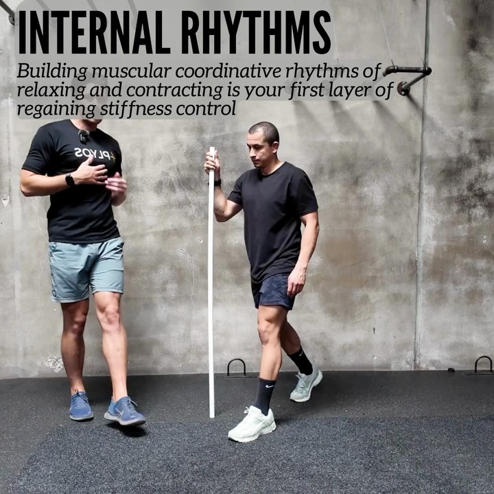Return To Dynamic Movement Boosts Stiffness