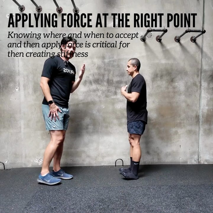 Return To Dynamic Movement Boosts Stiffness