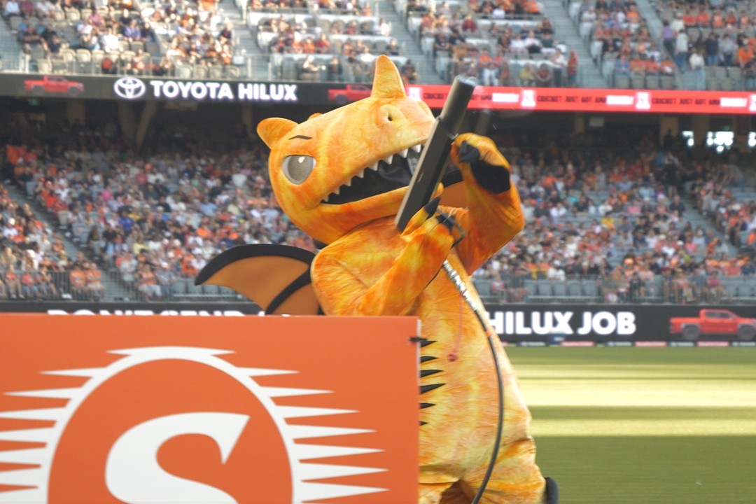 Scorchers Snapshot: Cryptic Frames Stir BBL Buzz
