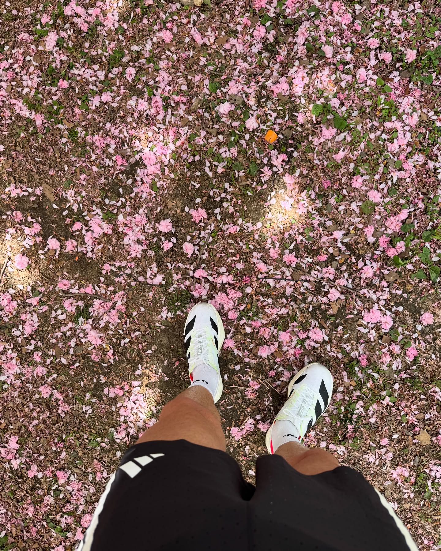 Seasonal Training Shift For Runners
