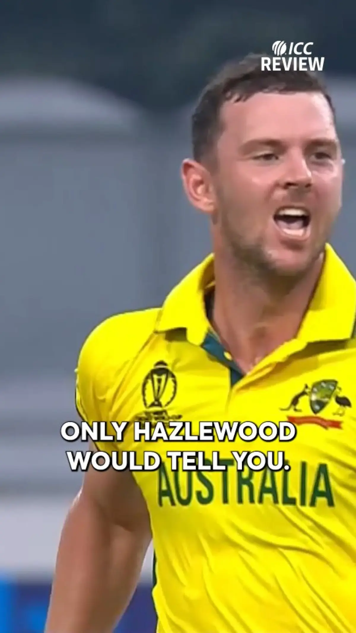 Shastri Backs Hazlewood in WTC25 Final Team director Ravi Shastri advocates for Hazlewood’s starter role in crucial WTC25 clash!!!