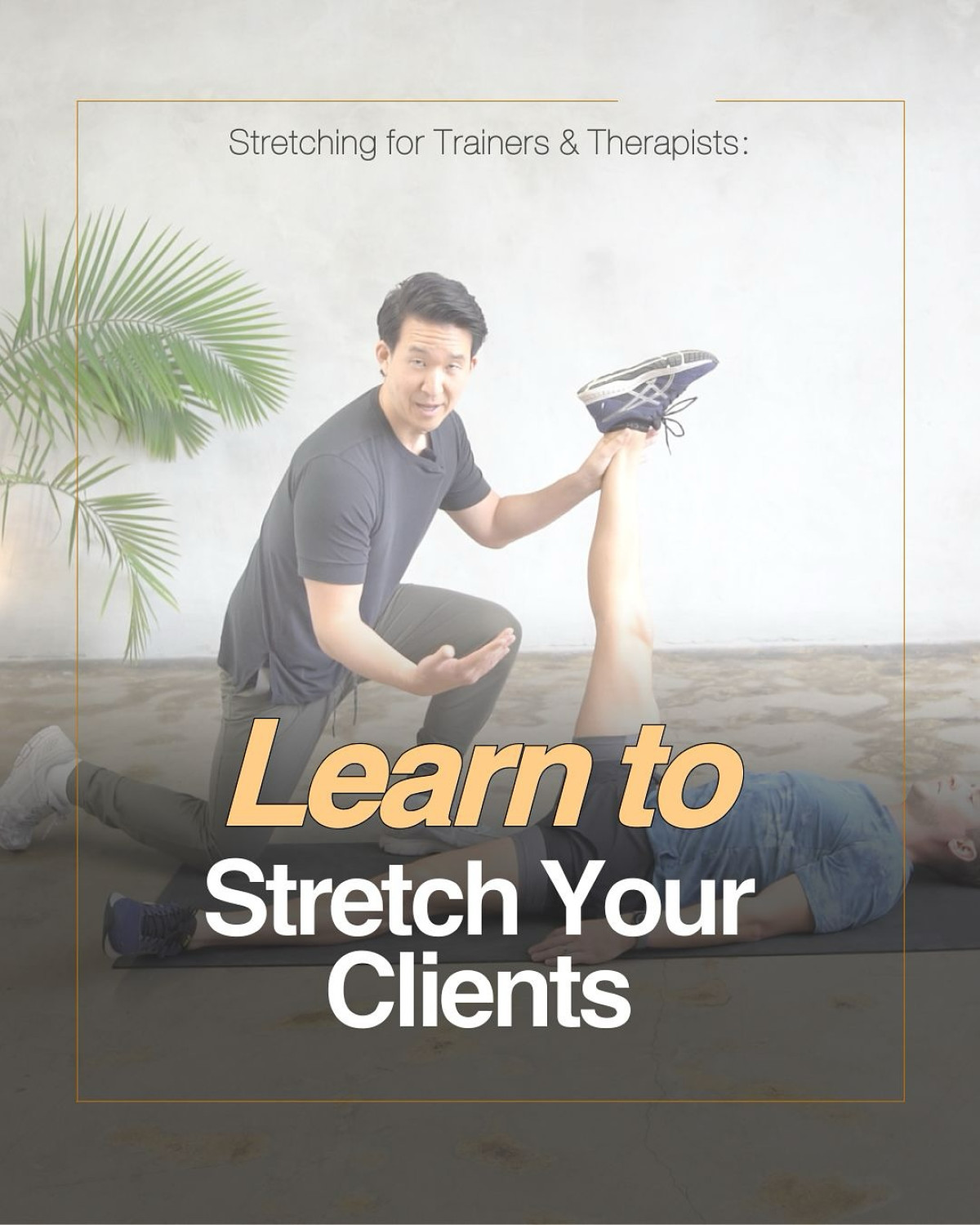 Therapists, trainers, and rehab pros unlock revolutionary courtside stretch insights today.