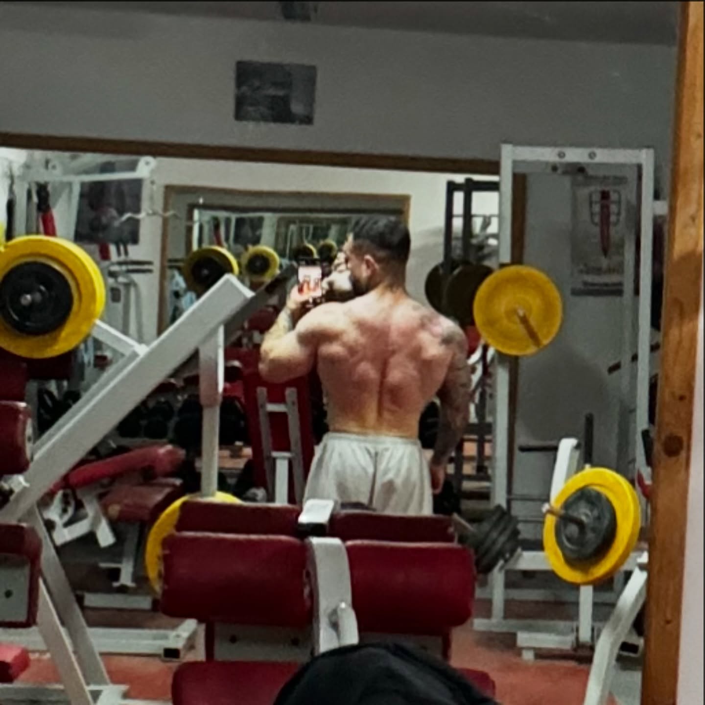 Sustainable Bodybuilding: Fran Osés’ Unconventional Plan