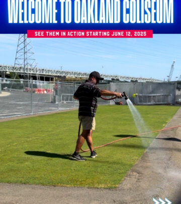 T20WC Wickets Relocate To Oakland Coliseum
