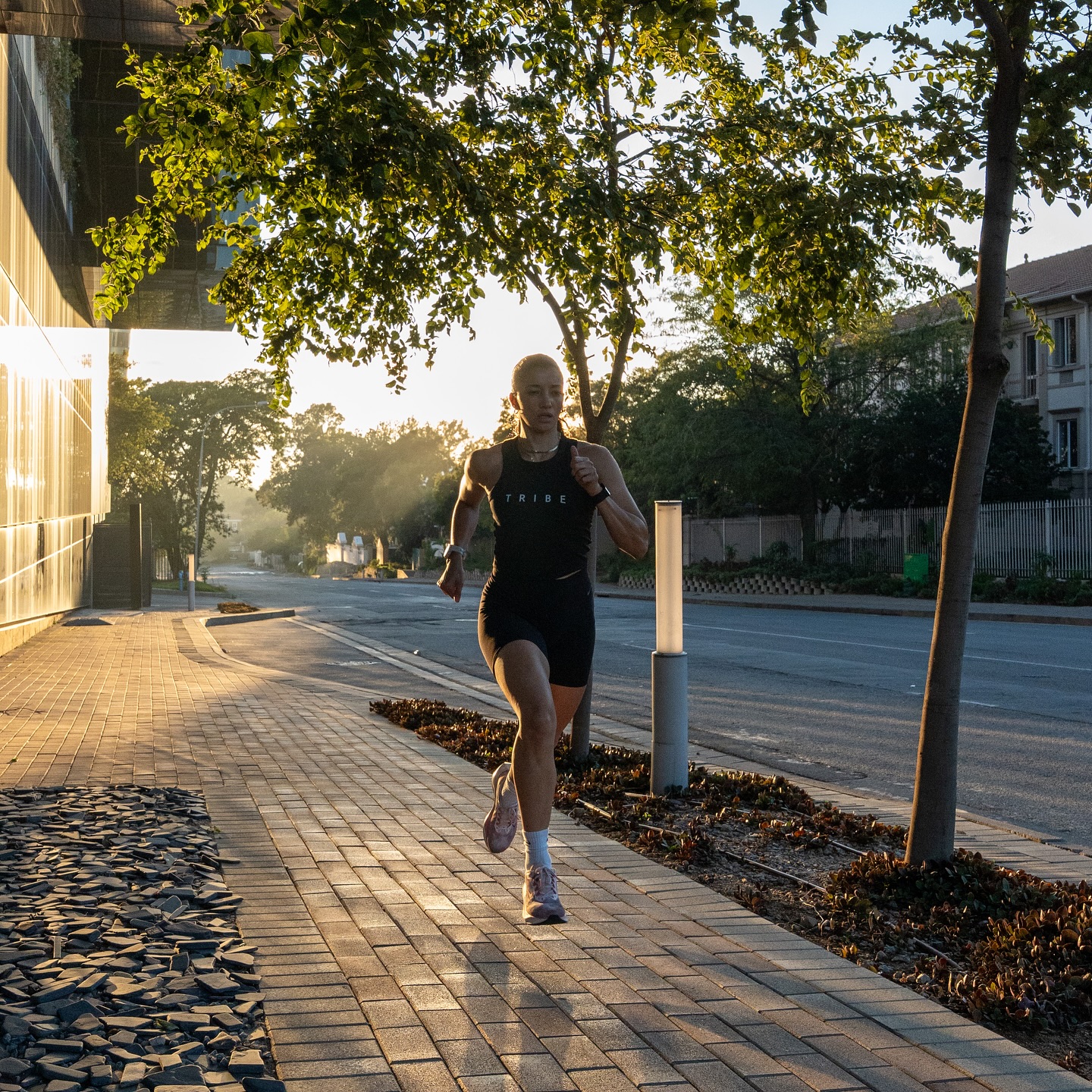 Train Like A Pro: Unlock Your Potential